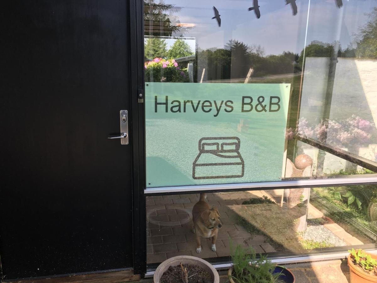 Harvey'S Bed & Breakfast 히링 외부 사진